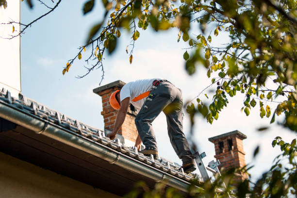 Best Emergency Roof Repair  in Lake Leann, MI