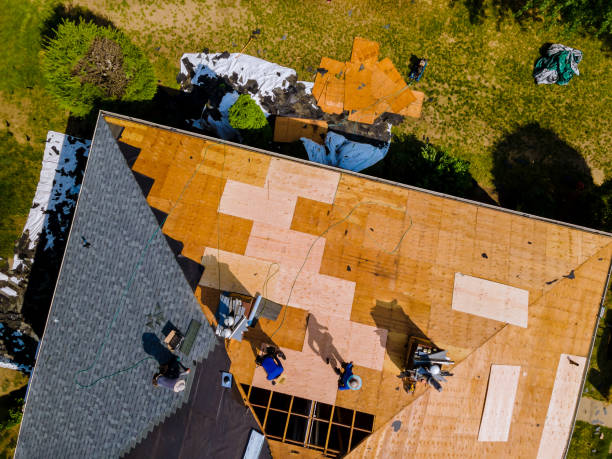 Best Gutter Installation and Roofing  in Lake Leann, MI
