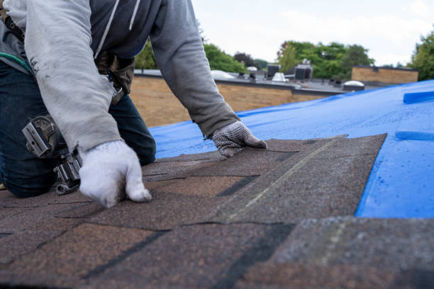 Best Storm Damage Roof Repair  in Lake Leann, MI