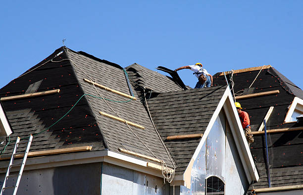 Best Gutter Installation and Roofing  in Lake Leann, MI