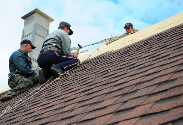 Best Residential Roofing Contractor  in Lake Leann, MI