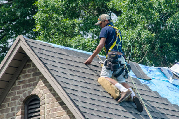 Best Residential Roofing Contractor  in Lake Leann, MI