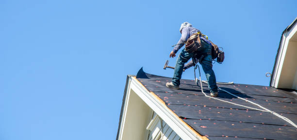 Best Roof Restoration Services  in Lake Leann, MI